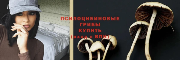 apvp Кинешма