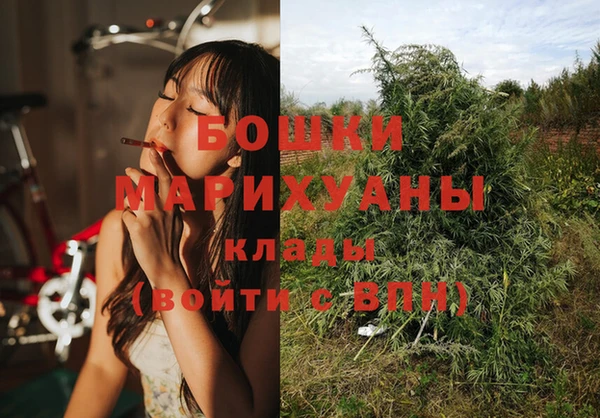 молекула духа Киреевск