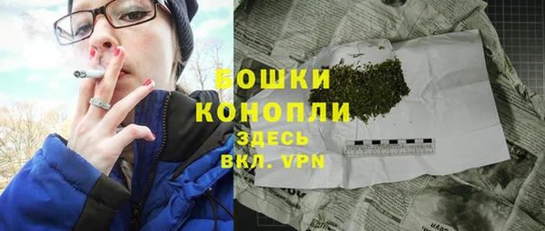 молекула духа Киреевск
