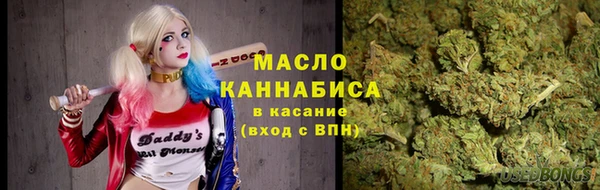 молекула духа Киреевск