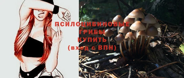 apvp Кинешма